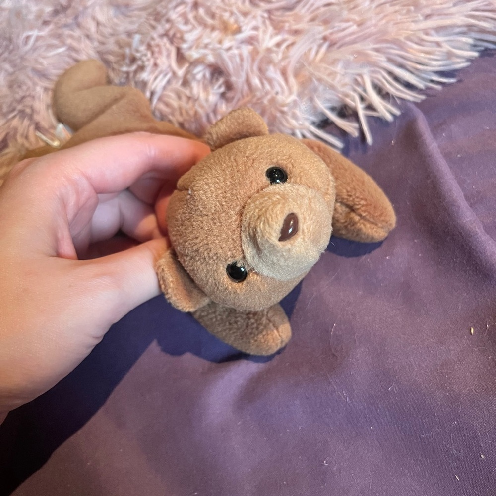 Ty Brown Beanie Baby Bear